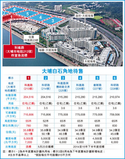 大埔白石角地皮待售