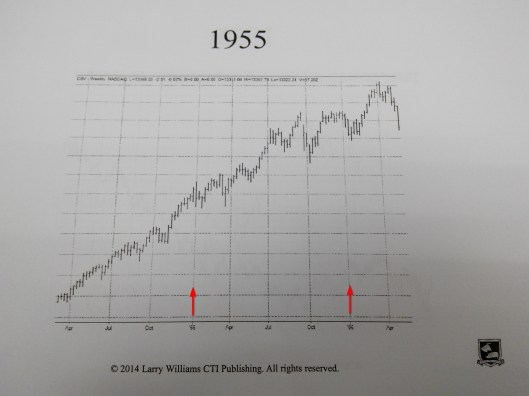 1955年股市是升的